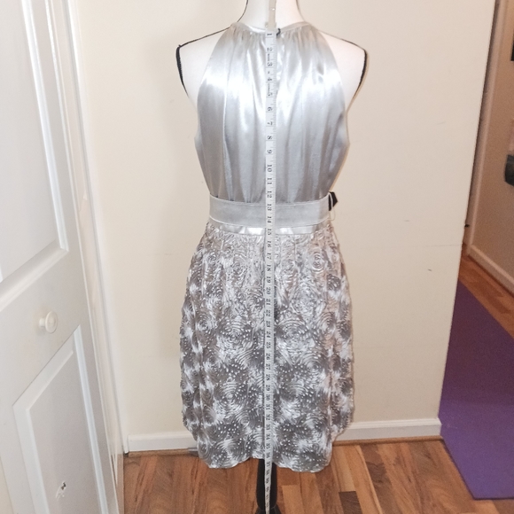 Kristen Davis sleeveless Silver Dress Size 12 - Picture 9 of 13